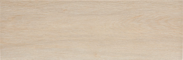 FRONDA ABETO 20x60