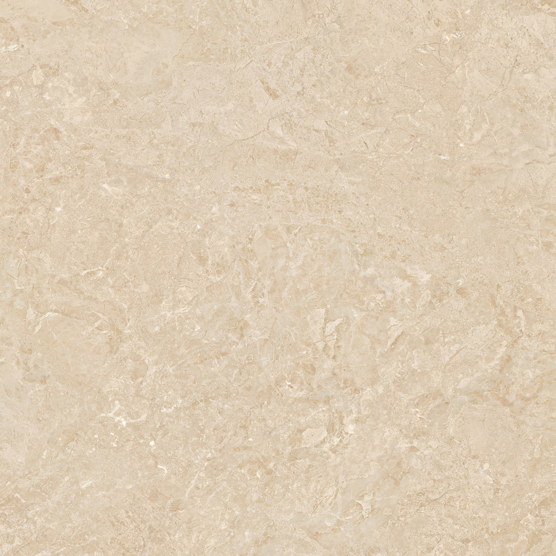 ODYSSEY CREAM 120x120(T)
