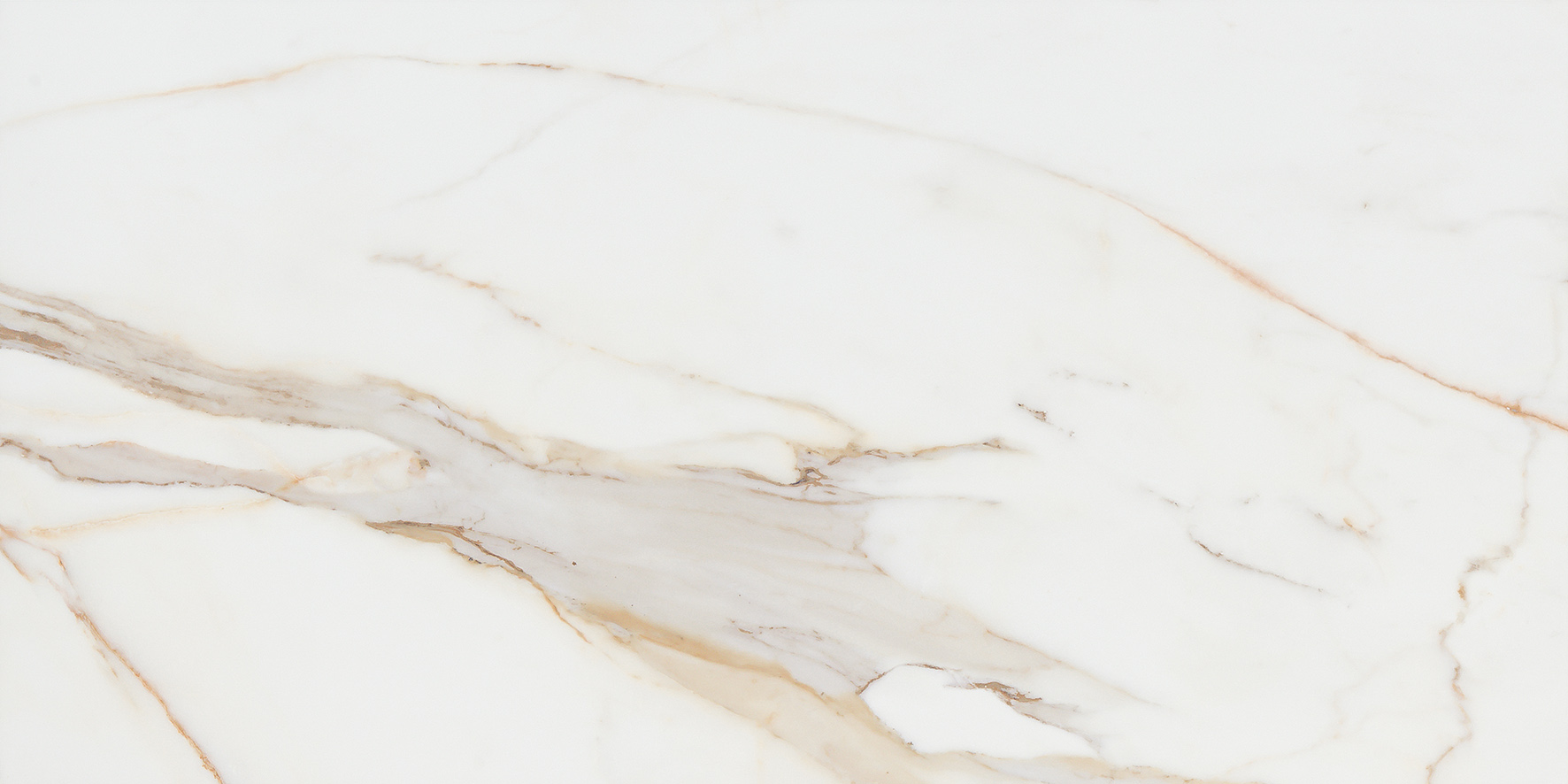 CALACATA GOLD 1. - BASE