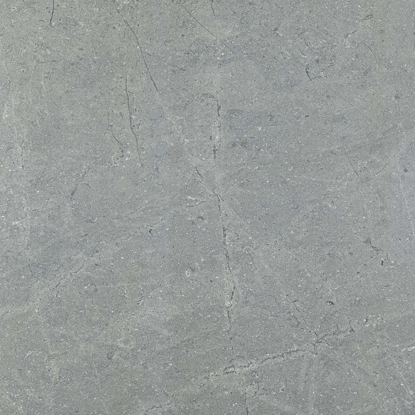 MONREALE GRIGIO 100x100
