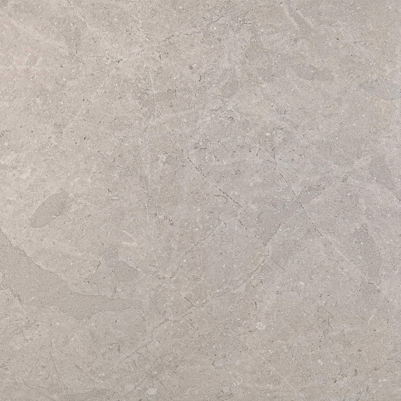 MONREALE TAUPE 100x100