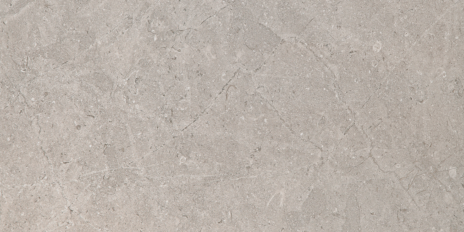 MONREALE TAUPE 60x120(n)