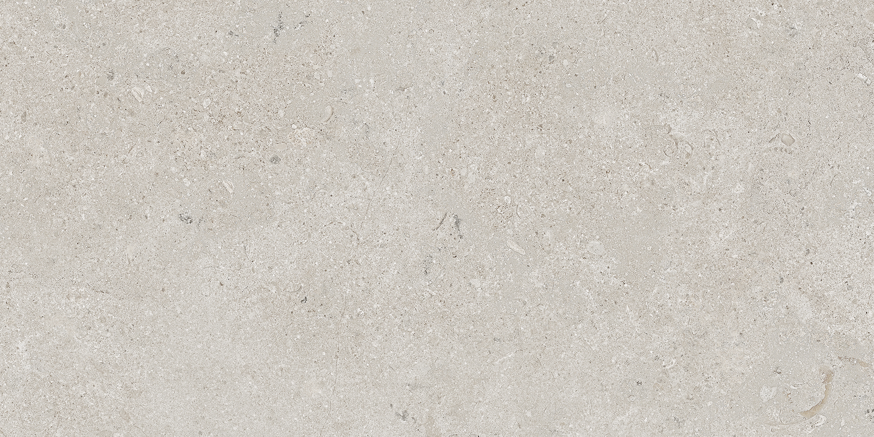 ALBA STONE SILVER 60x120(n)