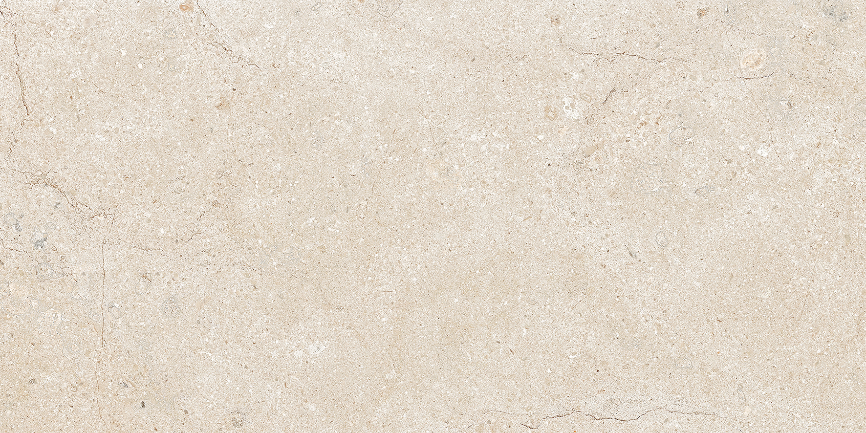 ALBA STONE GREIGE 60x120(n)