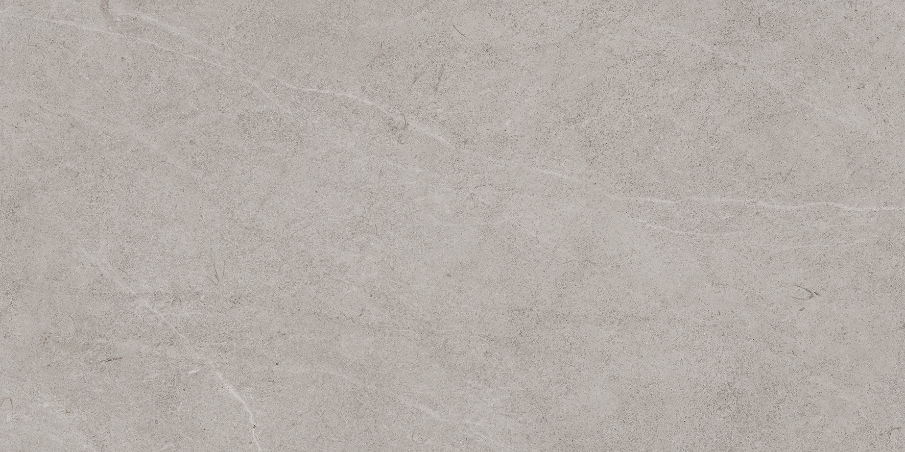 VICTORIA SILVER 60x120(n)