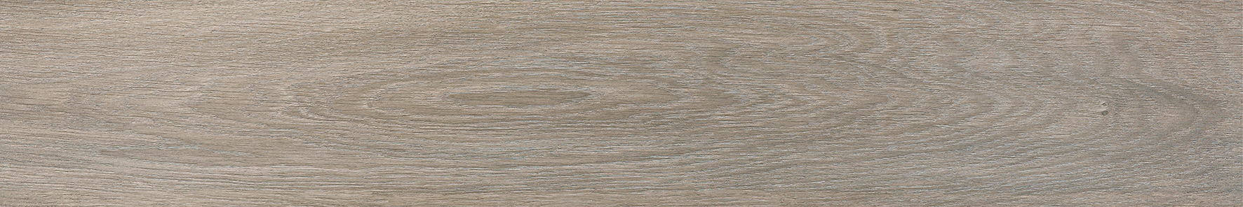 NOVARA TAUPE 25x150