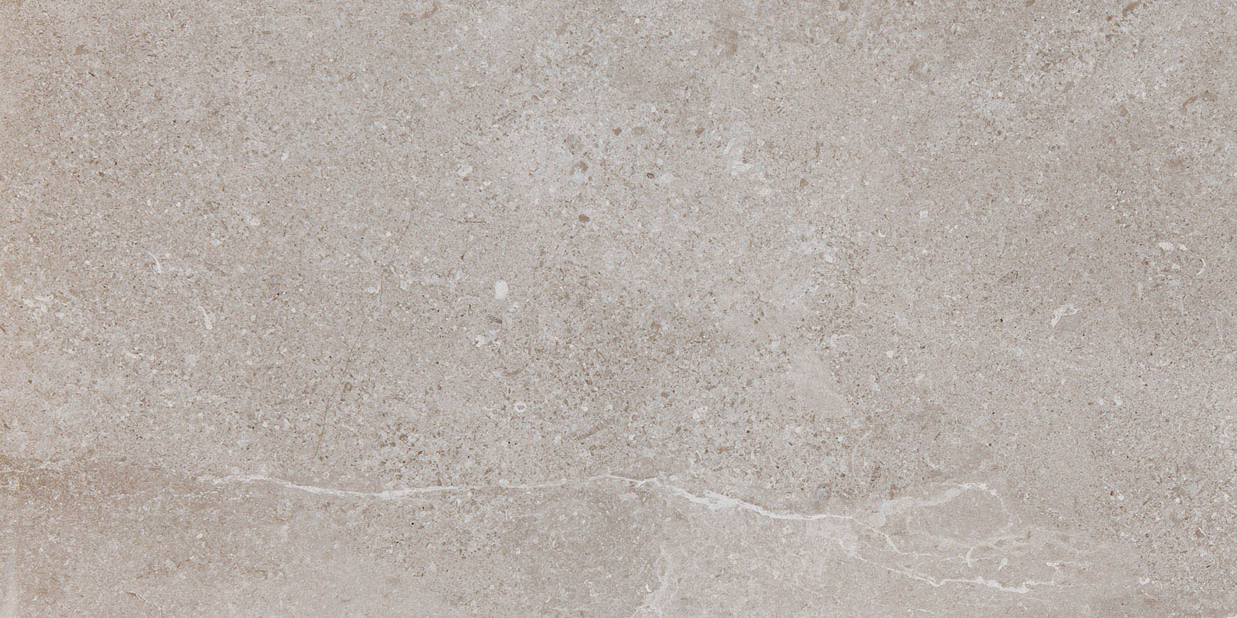ES.ERDING ASH 60x120