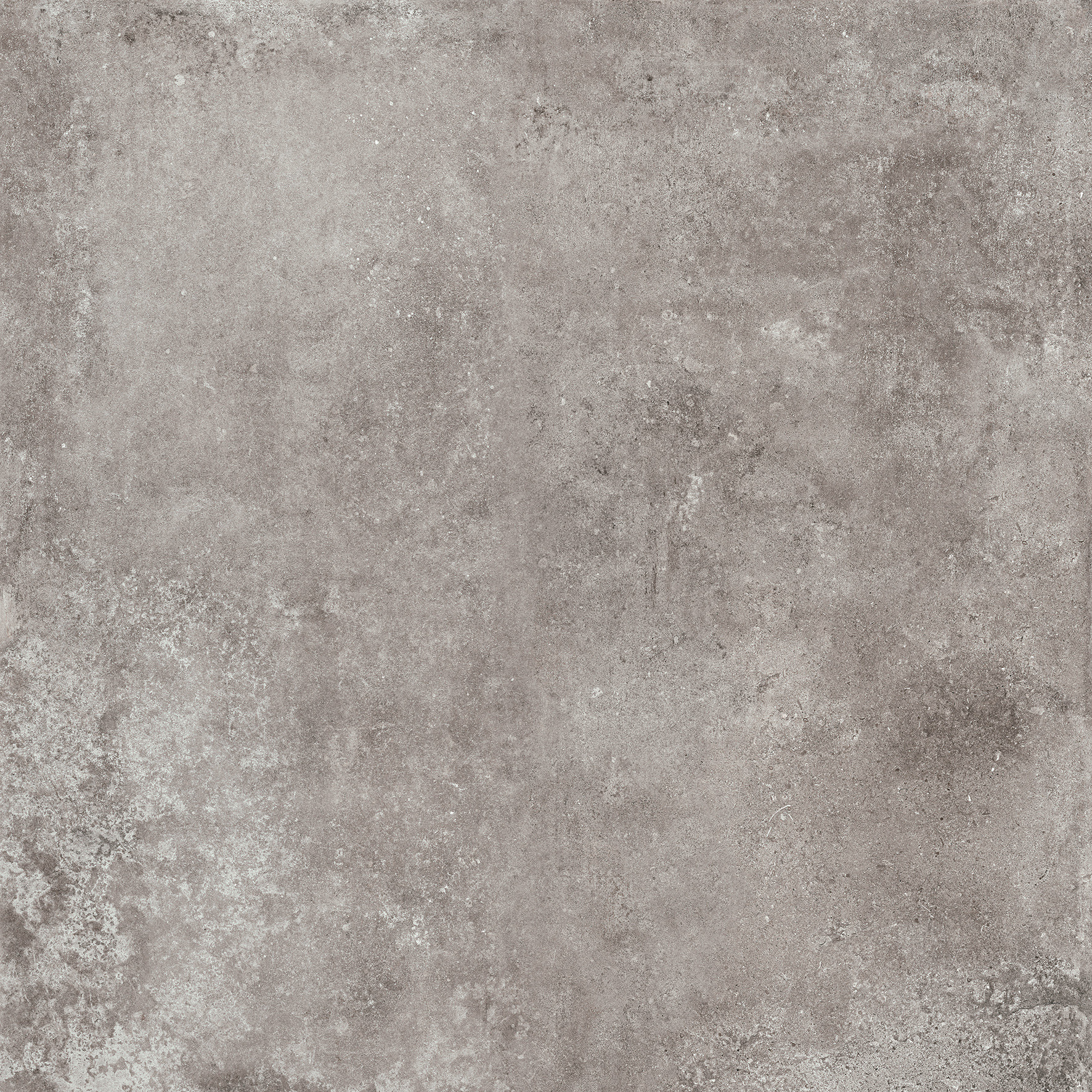 MONTPELLIER ASH 120x120
