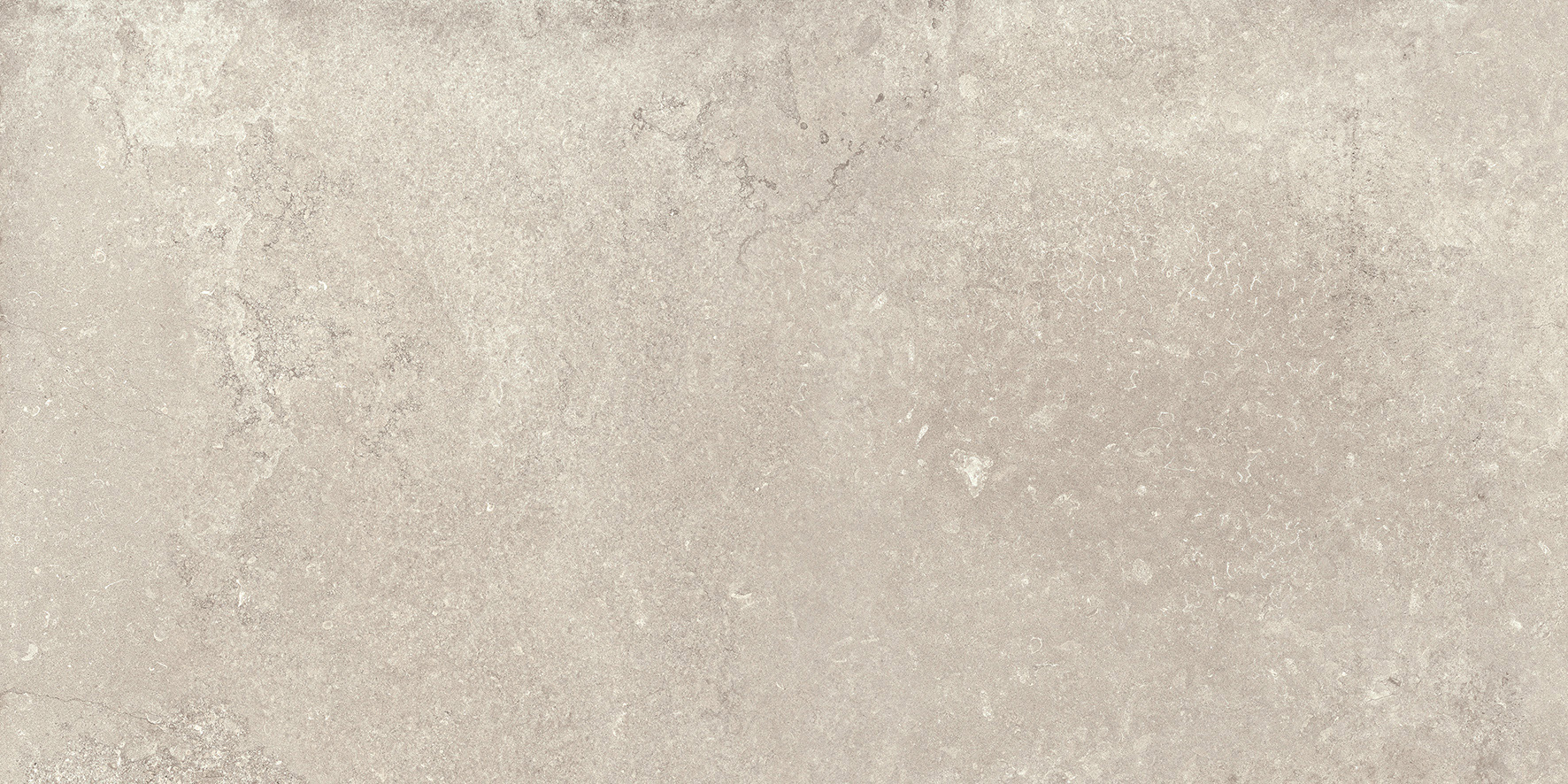 MONTPELLIER BONE 60x120