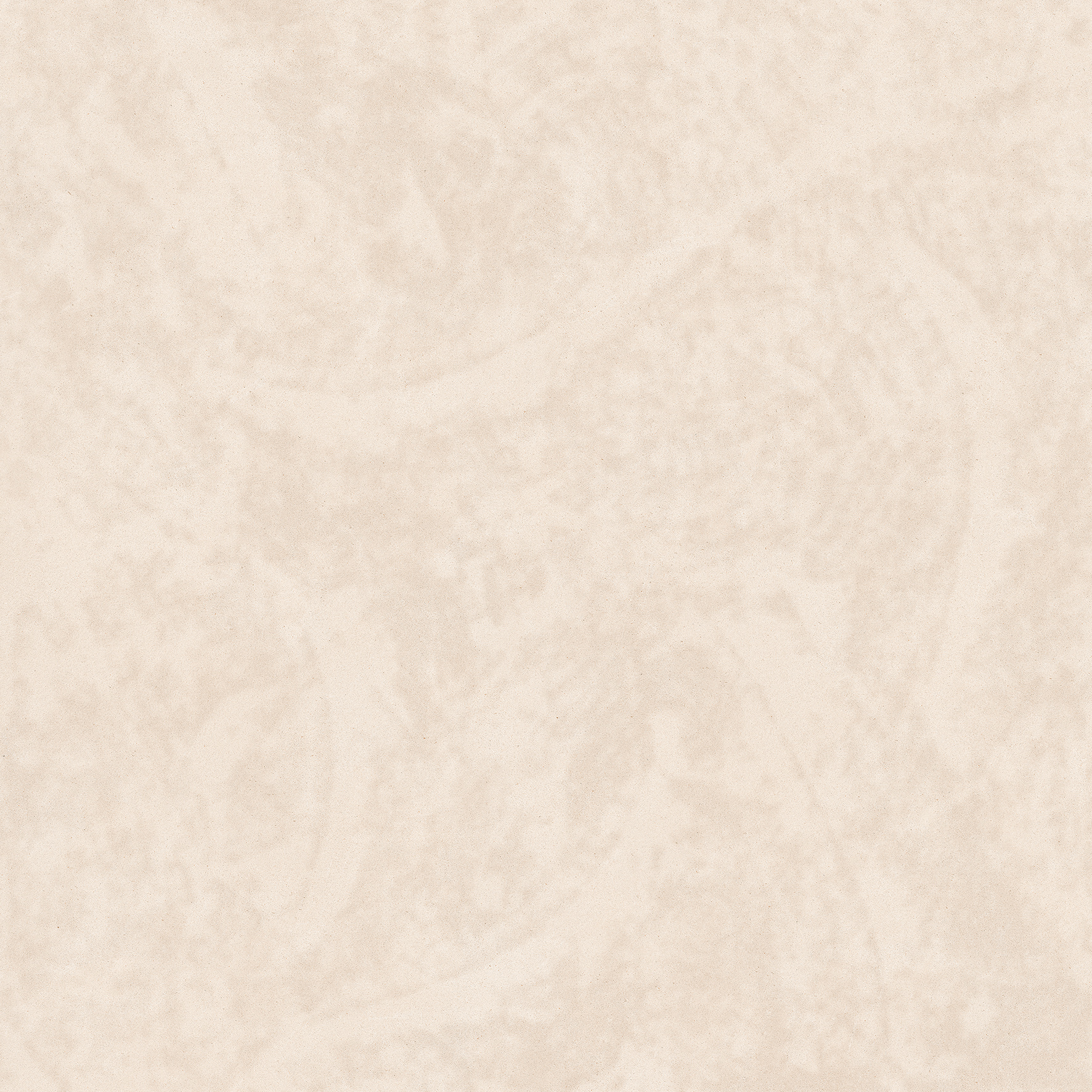 CLASSIC NEUTRAL 1. 