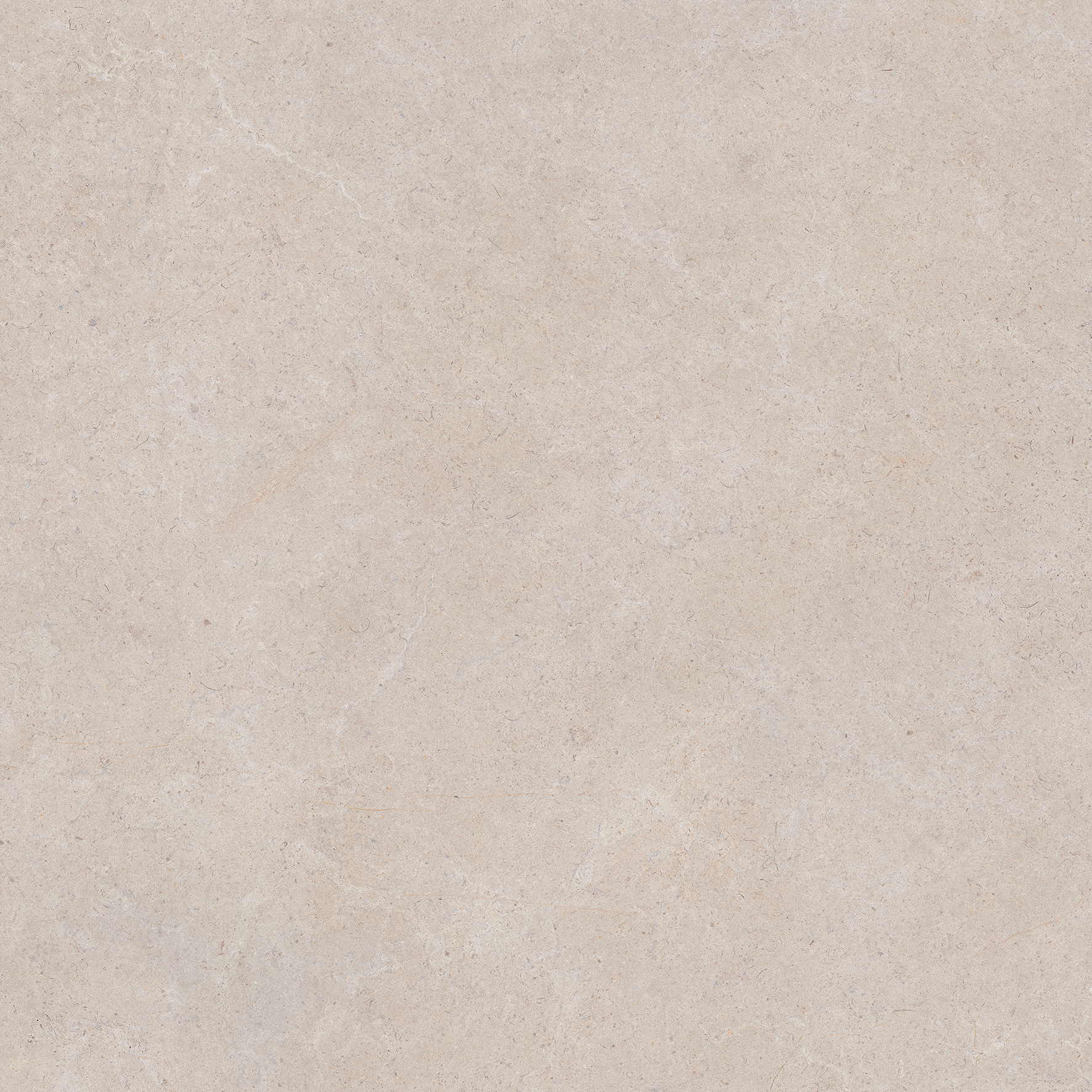 DUNE TAUPE 