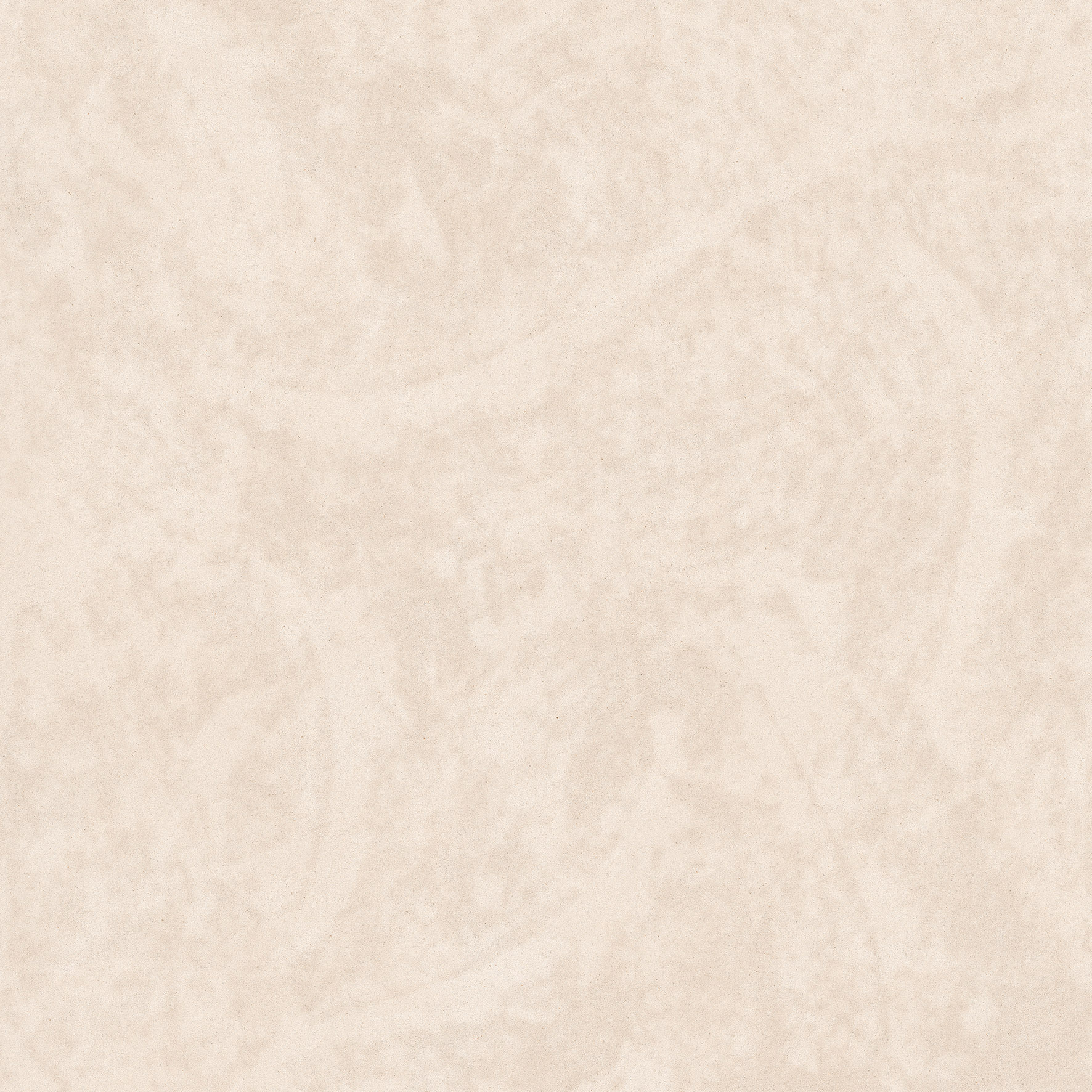 CLASSIC NEUTRAL 1. 