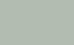 MOSS NEGRO 33,3x55