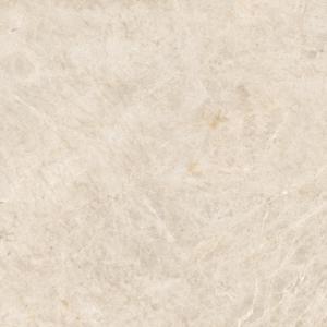 TAJ MAHAL GRIS 120x120