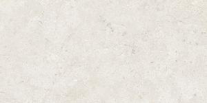 ALBA STONE GRIS 60x120(n)