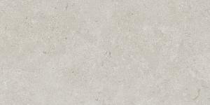 ALBA STONE GRIS 60x120(n)