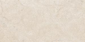 ALBA STONE GRIS 60x120(n)