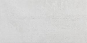 DUPLOCEM GRIS 60x120(n)