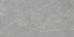 LAVAGNA PIETRA DI GRIS 60x120(n)