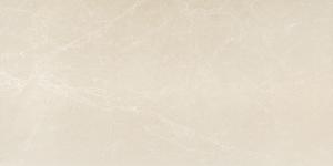 MURANO NEGRO 60x120(n)