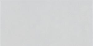 AT.BLAZE ARGENT 60x120(n)