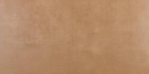 RLV.ELEGANZA GRIS 60x120
