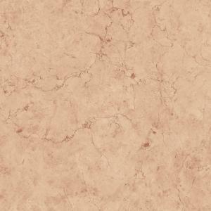 PERLINO NEGRO 120x120(T)