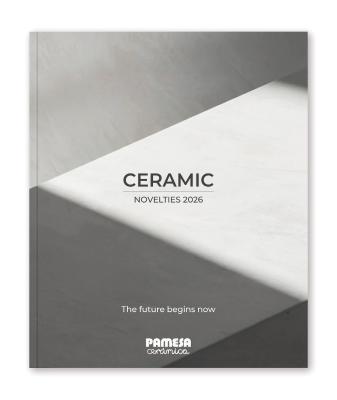 2026 CERAMIC NOVELTIES