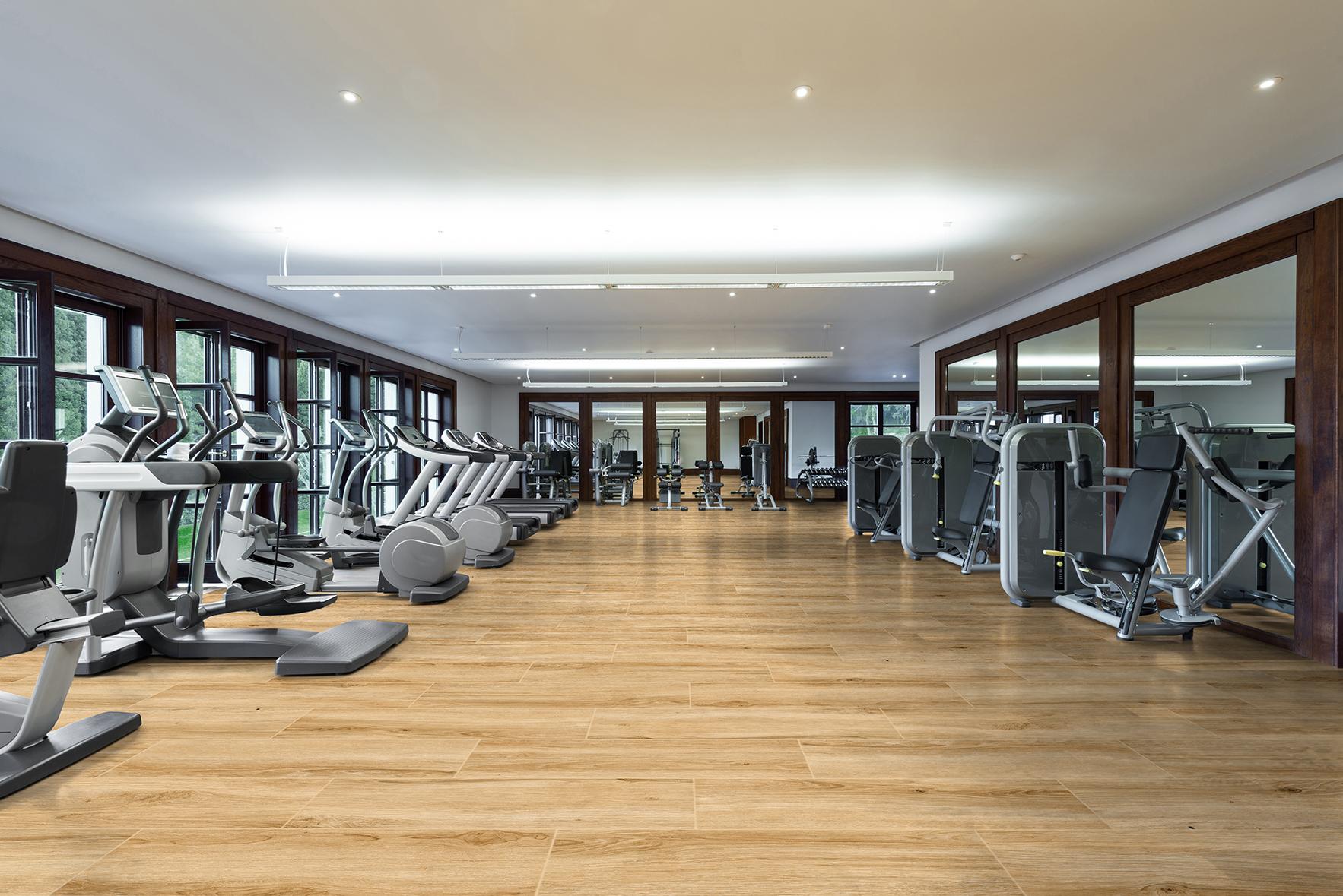 Fitness center interior. Gym